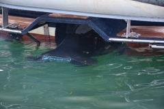 Lab-Adore-Photos-2022-23-32