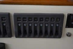 Levity-Ellis-24-Photos-Nov-2021-30