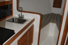 No-Alt-Ellis-28-For-Sale-40