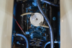 Ellis-28-Ordinary-Sunday-2023-15