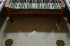 Ellis-28-Ordinary-Sunday-2023-9